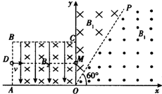 bet365ȷֱwww.www.abwertysman.com
